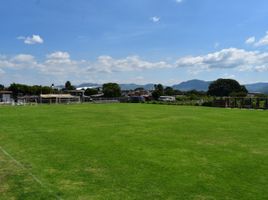  Land for sale in Atlixco Puebla, Atlixco, Puebla
