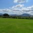  Land for sale in Atlixco Puebla, Atlixco, Puebla
