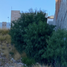  Grundstück zu verkaufen in San Luis Potosi, San Luis Potosi, San Luis Potosi, San Luis Potosi