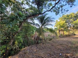  Terreno (Parcela) en venta en Veraguas, San Juan, San Francisco, Veraguas