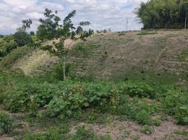  Terreno (Parcela) en venta en Ulloa, Valle Del Cauca, Ulloa