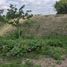  Land for sale in Ulloa, Valle Del Cauca, Ulloa