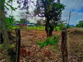  Land for sale in David, Chiriqui, Chiriqui, David