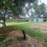  Land for rent in Panama, Rio Abajo, Panama City, Panama