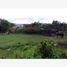  Land for sale in Emiliano Zapata, Veracruz, Emiliano Zapata
