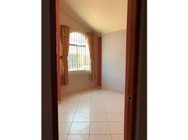 1 Bedroom Condo for rent in Peru, Piura, Piura, Piura, Peru