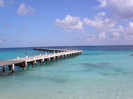 2 Schlafzimmer Wohnung zu verkaufen in Cozumel, Quintana Roo, Cozumel