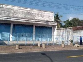 2 Kamar Rumah for sale in Genteng, Banyuwangi, Genteng