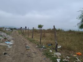  Land for sale in Daule, Guayas, Daule, Daule