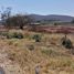  Land for sale in Villa Corona, Jalisco, Villa Corona