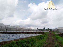  Grundstück zu verkaufen in Padalarang, West Jawa, Padalarang