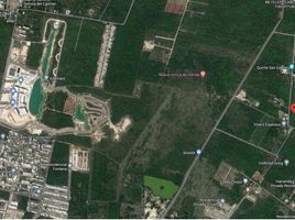  Grundstück zu verkaufen in Conkal, Yucatan, Conkal