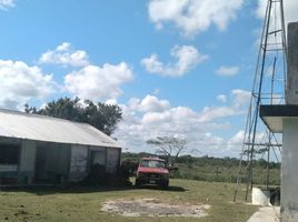 在Tizimin, Yucatan出售的开间 别墅, Tizimin