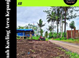  Land for sale in Ngajum, Malang Regency, Ngajum