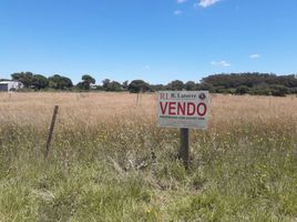  Grundstück zu verkaufen in General Pueyrredon, Buenos Aires, General Pueyrredon