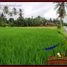  Land for sale in Kerambitan, Tabanan, Kerambitan