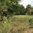  Terreno (Parcela) en venta en Manglaralto, Santa Elena, Manglaralto