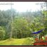  Land for sale in Gianyar Bali, Tegallalang