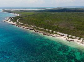 Land for sale in Cozumel, Quintana Roo, Cozumel