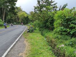  Terrain for sale in Baturiti, Tabanan, Baturiti