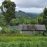  Terrain for sale in Baturiti, Tabanan, Baturiti