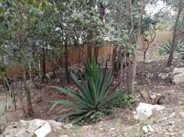  Terreno (Parcela) en venta en San Lucas, Chiapas, San Lucas