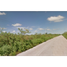  Land for sale in Muxupip, Yucatan, Muxupip