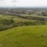  Land for sale in Palmira, Valle Del Cauca, Palmira