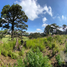 Terreno (Parcela) en venta en Milpa Alta, Ciudad de México, Milpa Alta