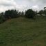 Terrain à vendre à Rionegro, Antioquia, Rionegro, Antioquia