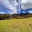  Terreno (Parcela) en venta en El Carmen De Viboral, Antioquia, El Carmen De Viboral