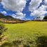  Terreno (Parcela) en venta en El Carmen De Viboral, Antioquia, El Carmen De Viboral