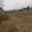  Land for sale in Atenco, Mexico, Atenco