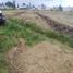  Land for sale in Atenco, Mexico, Atenco