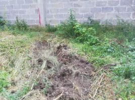 Land for sale in Atenco, Mexico, Atenco