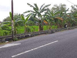  Terreno (Parcela) en venta en Seyegan, Yogyakarta, Seyegan