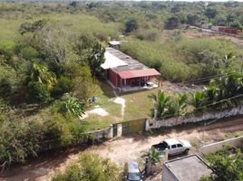3 Schlafzimmer Haus zu verkaufen in Merida, Yucatan, Merida, Yucatan