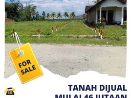  Land for sale in Bangorejo, Banyuwangi, Bangorejo