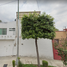 4 Schlafzimmer Villa zu verkaufen in Benito Juarez, Mexico City, Benito Juarez