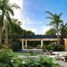  Land for sale in Ixil, Yucatan, Ixil