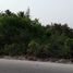  Grundstück zu verkaufen in Hunucma, Yucatan, Hunucma