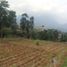 Terreno (Parcela) en venta en Sumurbandung, West Jawa, Sumurbandung, Bandung, West Jawa