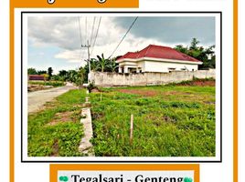  Land for sale in Banyuwangi, East Jawa, Gambiran, Banyuwangi