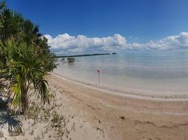  Grundstück zu verkaufen in Othon P Blanco, Quintana Roo, Othon P Blanco