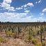  Terreno (Parcela) en venta en San Rafael, Mendoza, San Rafael