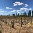  Terreno (Parcela) en venta en San Rafael, Mendoza, San Rafael
