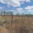  Terreno (Parcela) en venta en San Rafael, Mendoza, San Rafael