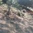  Terreno (Parcela) en venta en San Joaquin, Querétaro, San Joaquin