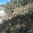  Terreno (Parcela) en venta en San Joaquin, Querétaro, San Joaquin
