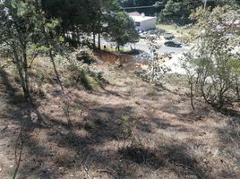  Terreno (Parcela) en venta en San Joaquin, Querétaro, San Joaquin